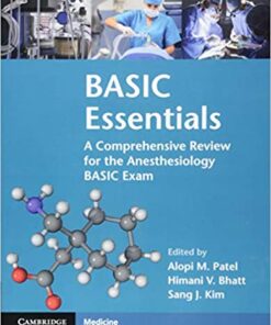 BASIC Essentials 1st Edition PDF