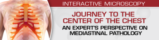 USCAP Journey to the Center of the Chest: An Expert’s Perspective On Mediastinal Pathology 2021 (CME VIDEOS)