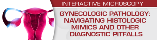 USCAP gynecologic pathology navigating histologic mimics and other diagnostic pitfalls 2021 cme videos