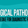 USCAP Gynecological Pathology: Essential Knowledge for Diagnostic Practice 2022 (CME VIDEOS)