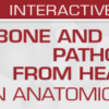 USCAP Bone and Soft Tissue Pathology from Head to Toe: An Anatomical Approach 2022 CME VIDEOS