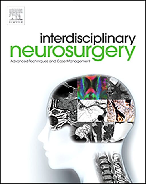 Interdisciplinary Neurosurgery 2022 Volumes 27-30  PDF