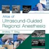 Atlas of Ultrasound-Guided Regional Anesthesia: Expert Consult - Online and Print 3rd Edition PDF Original & Video