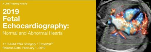 2019 Fetal Echocardiography Normal and Abnormal Hearts