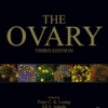 The Ovary