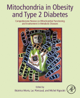 Mitochondria in Obesity and Type 2 Diabetes Comprehensive Review on Mitochondrial Functioning and Involvement in Metabolic Diseases