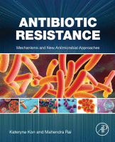 Antibiotic Resistance Mechanisms and New Antimicrobial Approaches