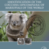 The Biology and Identification of the Coccidia (Apicomplexa) of Marsupials of the World