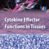 Cytokine Effector Functions in Tissues