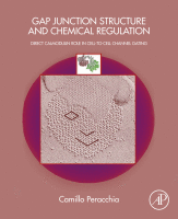 Gap Junction Structure and Chemical Regulation Direct Calmodulin Role in Cell-To-cell Channel Gating