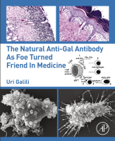 The Natural Anti-Gal Antibody As Foe Turned Friend In Medicine