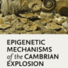 Epigenetic Mechanisms of the Cambrian Explosion