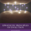 Epigenetic Principles of Evolution