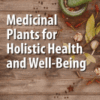 Medicinal Plants for Holistic Health and Well-Being