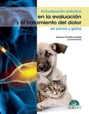 Actualización práctica en la evaluación y el tratamiento del dolor en perros y gatos (Spanish Edition) 2021 epub+converted pdf