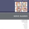 Nerve Injuries, An Issue of Orthopedic Clinics, E-Book