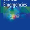 Corneal Emergencies