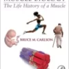 Muscle Biology: The Life History of a Muscle (Original PDF