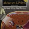 diagnostic-ultrasound-abdomen-and-pelvis-2nd-edition