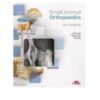 Small animal orthopaedics. The hindlimb