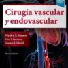 Cirugía vascular y endovascular (9ª ed.): Una revisión exhaustiva (Spanish Edition)