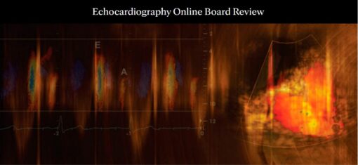 Mayo Clinic Echocardiography Online Board Review 2022 (CME VIDEOS)