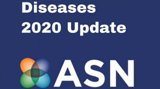 ASN Glomerular Diseases: 2020 Update (On-Demand) 2020 (CME VIDEOS)