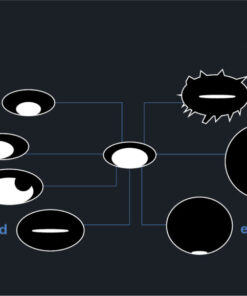 Imaging Mastery Series: Management of Breast Findings