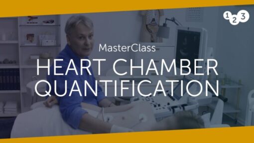 123sonography MasterClass HEART CHAMBER QUANTIFICATION (Videos)