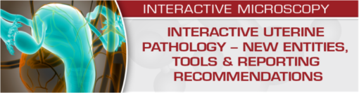 USCAP Interactive Uterine Pathology – New Entities, Tools & Reporting Recommendations 2020 (CME VIDEOS)