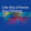 Color Atlas of Human Gross Pathology 2022 Original PDF