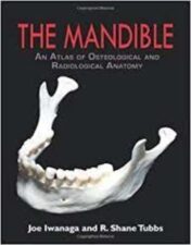 The Mandible: An Atlas of Osteological and Radiological Anatomy 1st Edition 2021 Original PDF