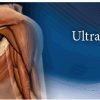 Pegasus Musculoskeletal Ultrasound eCourse