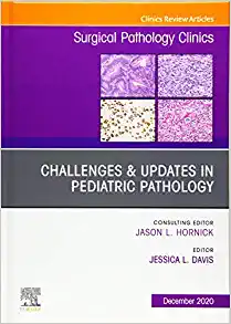 Challenges & Updates in Pediatric Pathology, An Issue of Surgical Pathology Clinics (Volume 13-4) (The Clinics: Surgery, Volume 13-4)