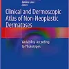 Clinical and Dermoscopic Atlas of Non-Neoplastic Dermatoses: Variability According to Phototypes