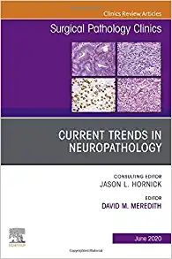 Current Trends in Neuropathology, An Issue of Surgical Pathology Clinics (Volume 13-2) (The Clinics: Surgery, Volume 13-2)