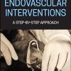 Endovascular Interventions: A Step-by-Step Approach