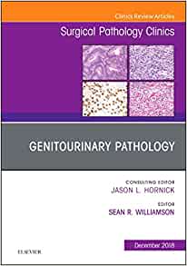 Genitourinary Pathology, An Issue of Surgical Pathology Clinics (Volume 11-4) (The Clinics: Surgery, Volume 11-4)