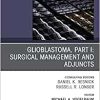 Glioblastoma, Part I: Surgical Management and Adjuncts, An Issue of Neurosurgery Clinics of North America (Volume 32-1) (The Clinics: Surgery, Volume 32-1)