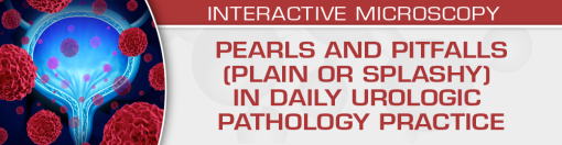 USCAP Pearls and Pitfalls (Plain or Splashy) in Daily Urologic Pathology Practice 2023