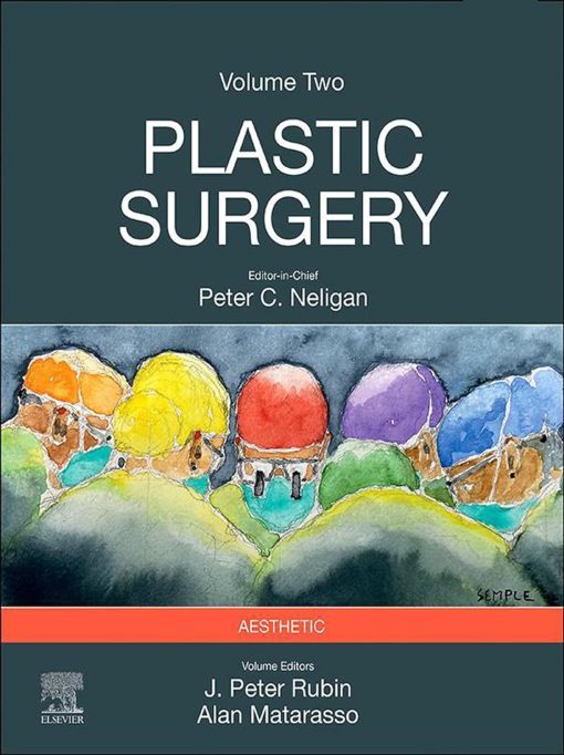 Plastic Surgery: Volume 2