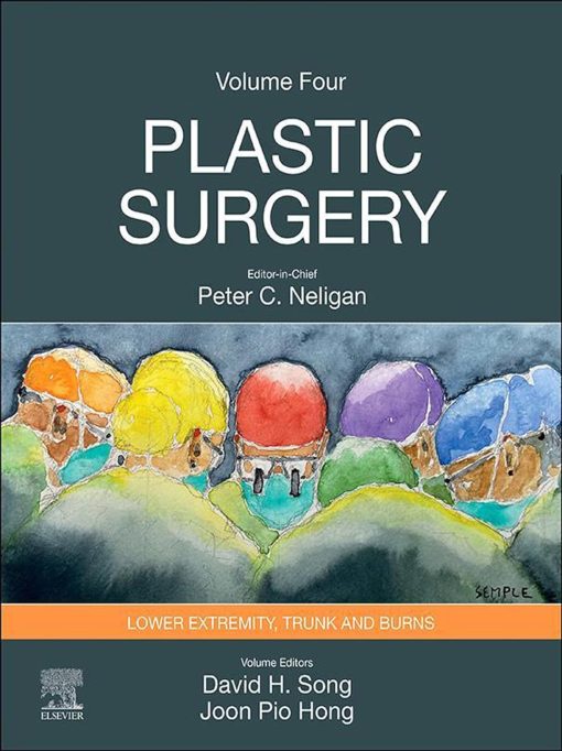 Plastic Surgery: Volume 4