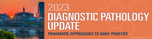 2023 Diagnostic Pathology Update Pragmatic Approaches To Daily Practice – USCAP (Videos)