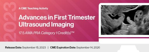 2023 Advances In First Trimester Ultrasound Imaging – DocmedED (Videos)