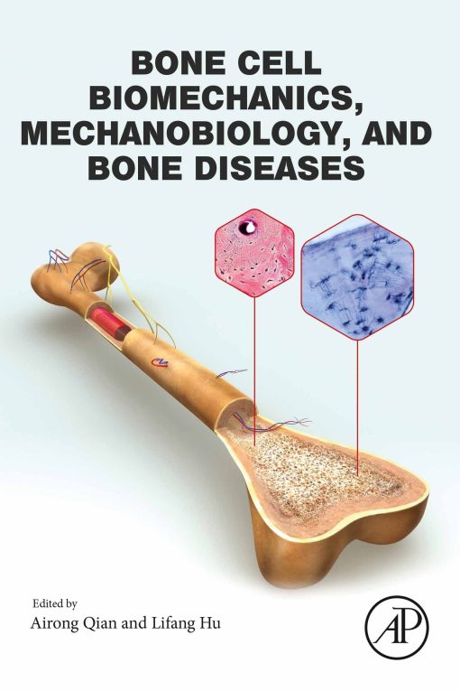 Bone Cell Biomechanics, Mechanobiology And Bone Diseases (Original PDF From Publisher)