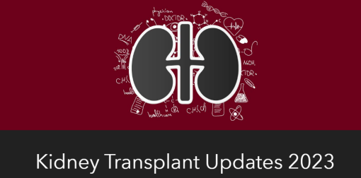 Kidney Transplant Updates 2023 (Videos)