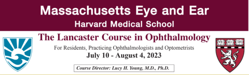 Harvard Lancaster Course In Ophthalmology 2023 (Videos)