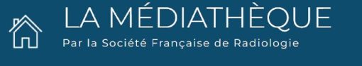 LA MÉDIATHÈQUE (SFR) 2020