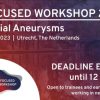 ESO 2023 Focused Workshop Intracranial aneurysms