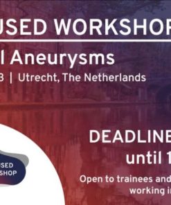 ESO 2023 Focused Workshop Intracranial aneurysms